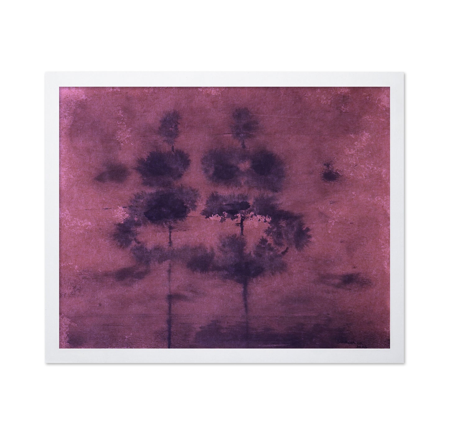 Purple Mist Grove