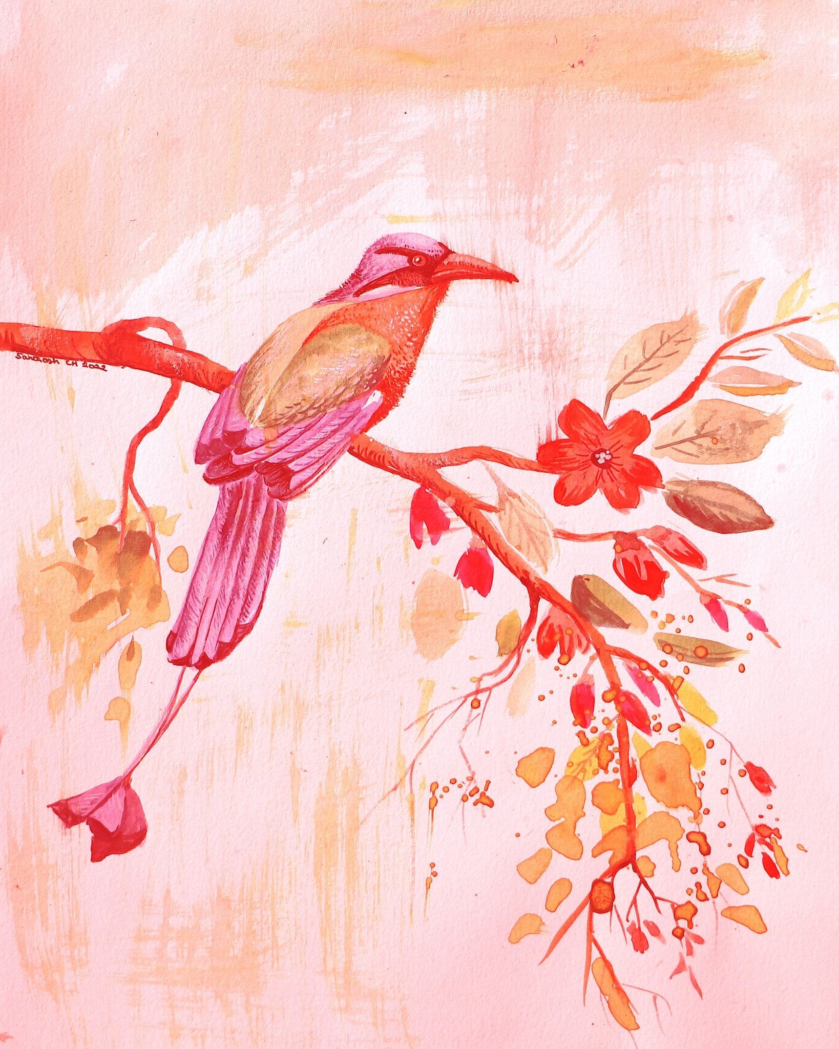 Sunset Branch Bird