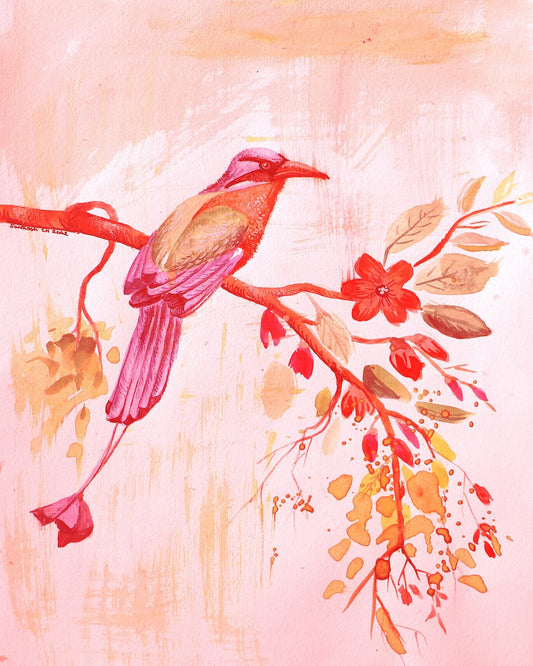 Sunset Branch Bird