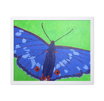 Blue Butterfly Close Up