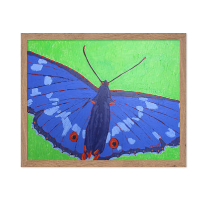 Blue Butterfly Close Up