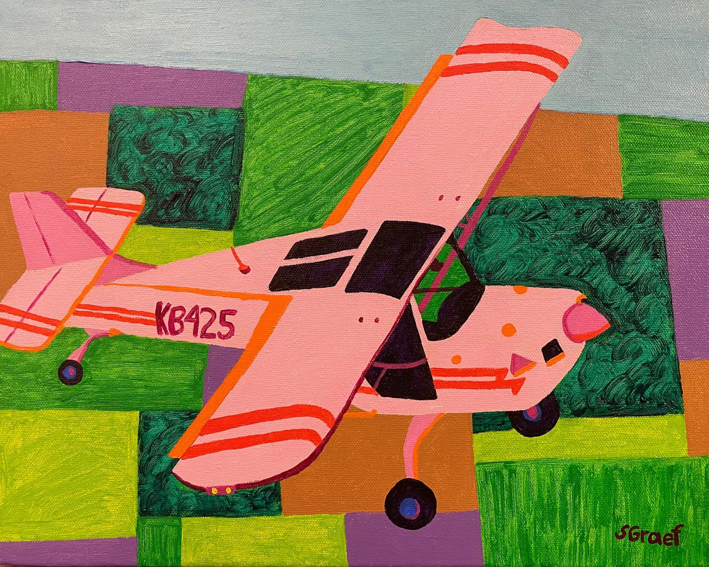 Pink Plane Over Fields