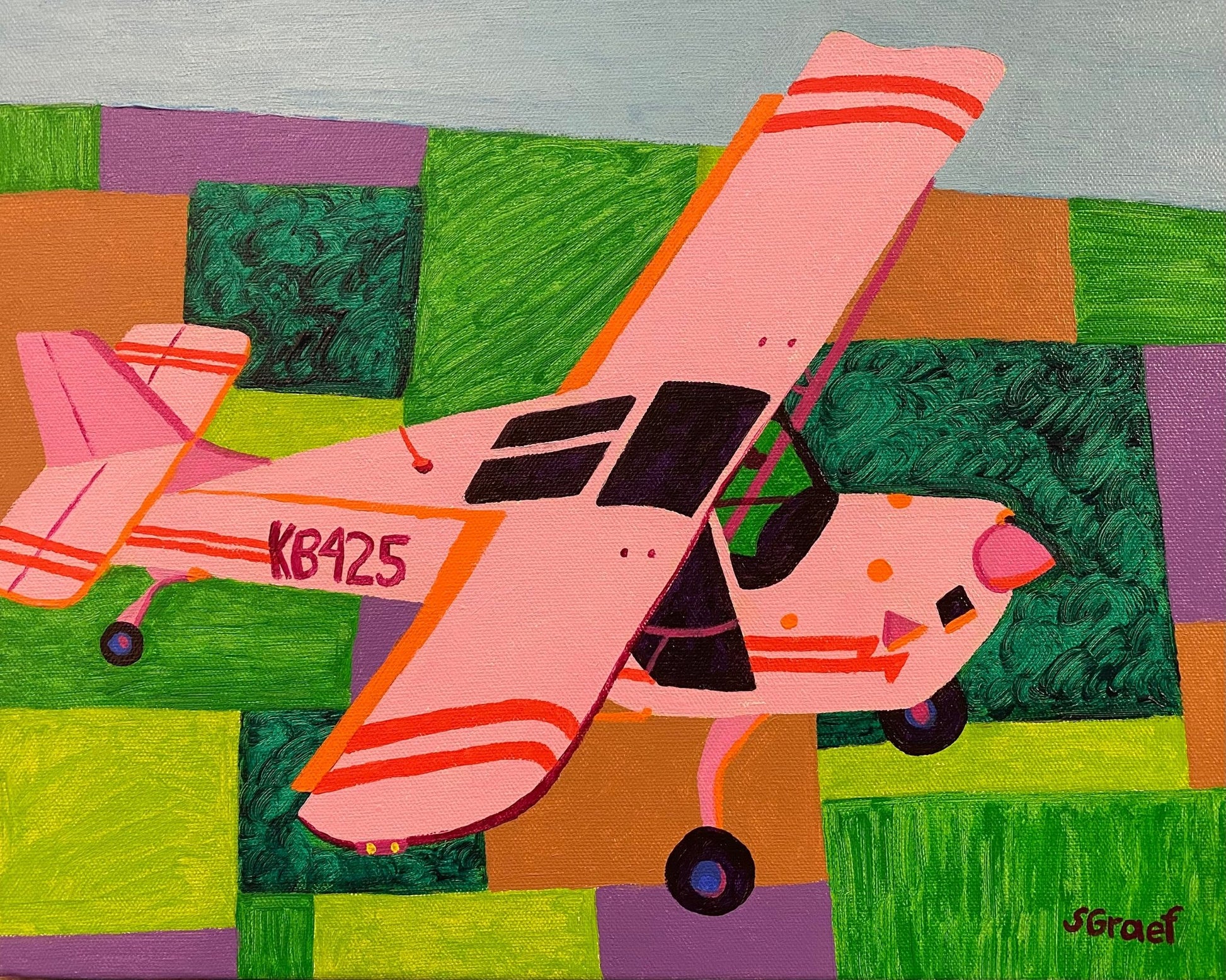Pink Plane Over Fields