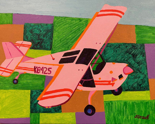 Pink Plane Over Fields