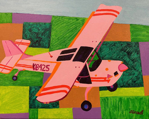 Pink Plane Over Fields