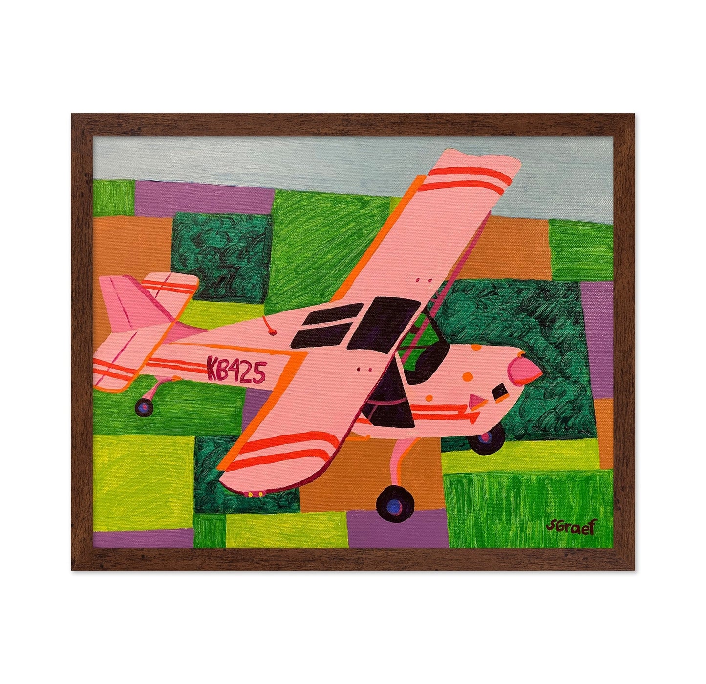 Pink Plane Over Fields