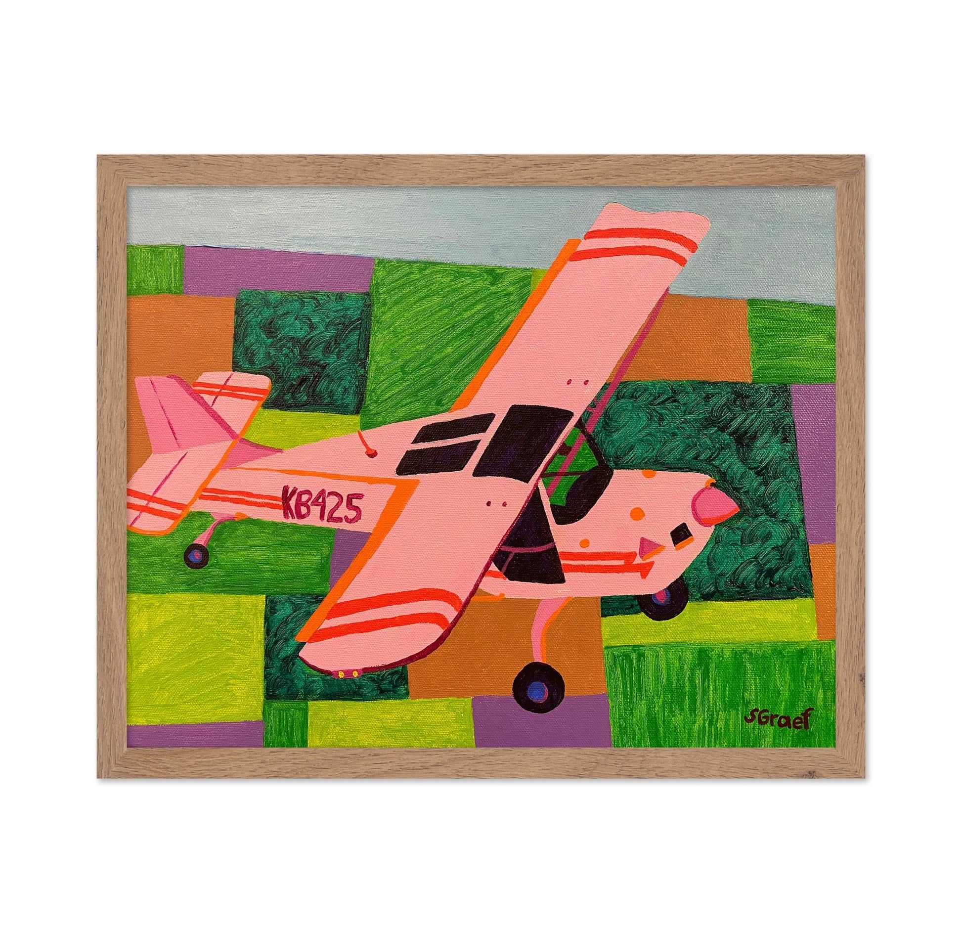 Pink Plane Over Fields