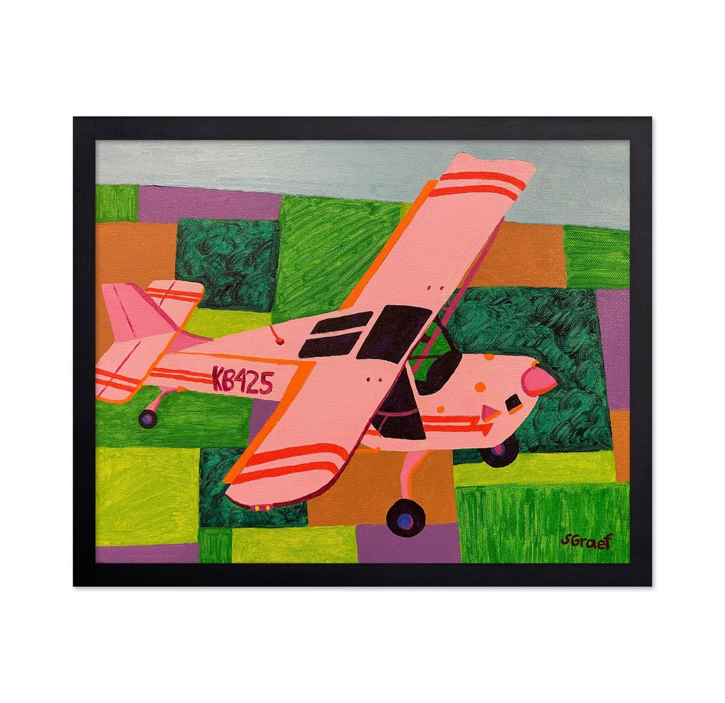 Pink Plane Over Fields