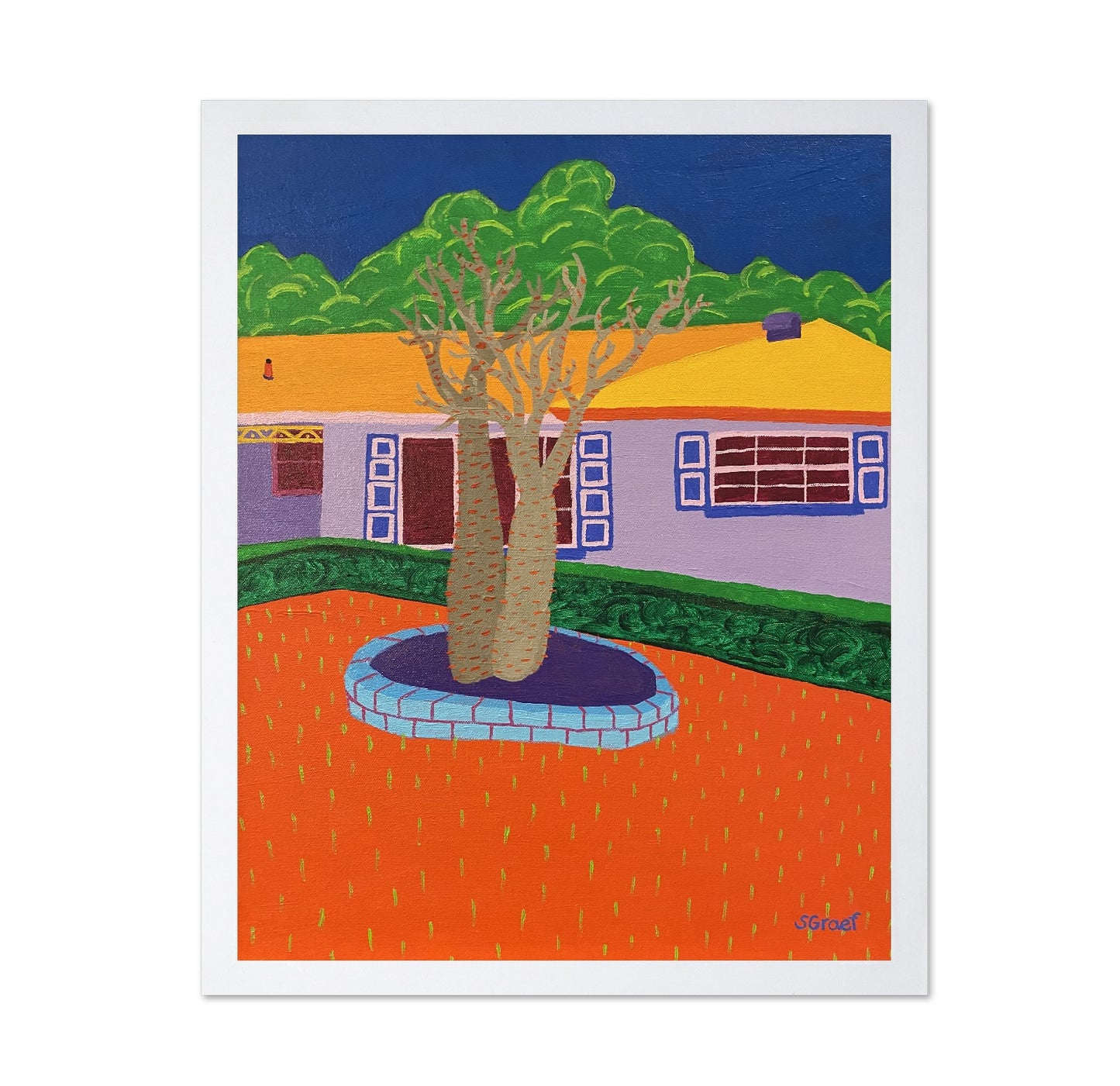 Desert Yard Tree