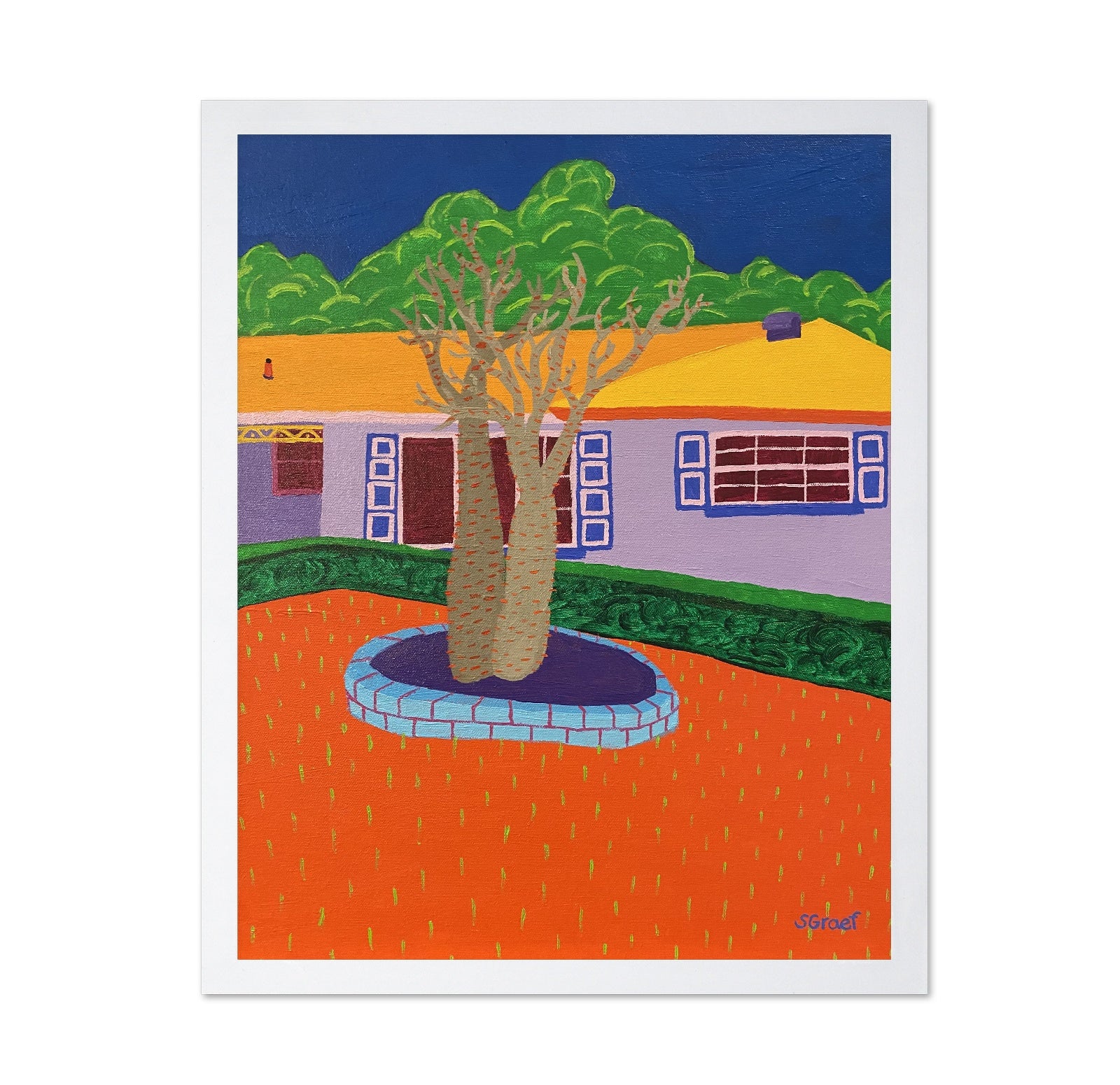 Desert Yard Tree