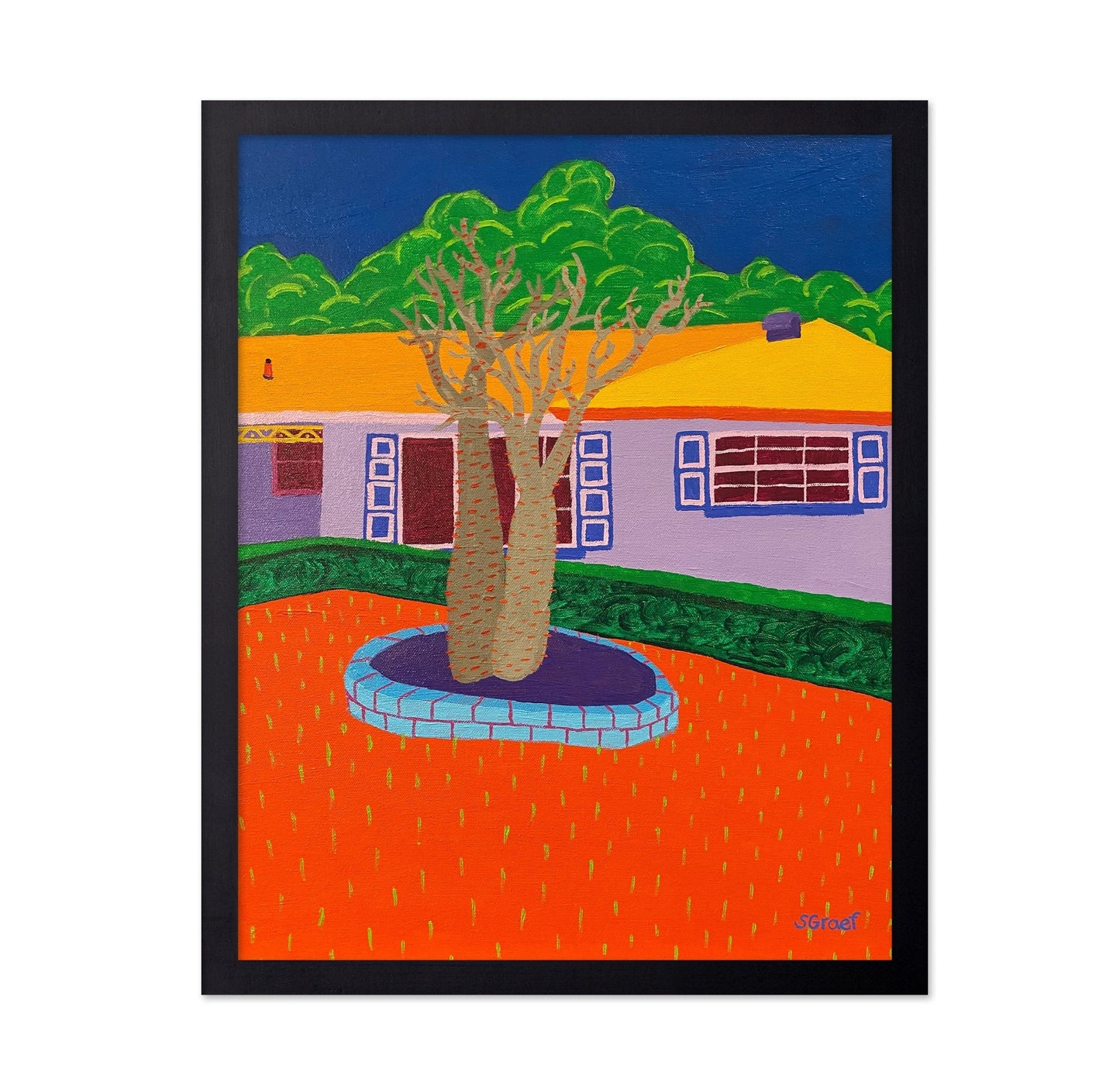 Desert Yard Tree