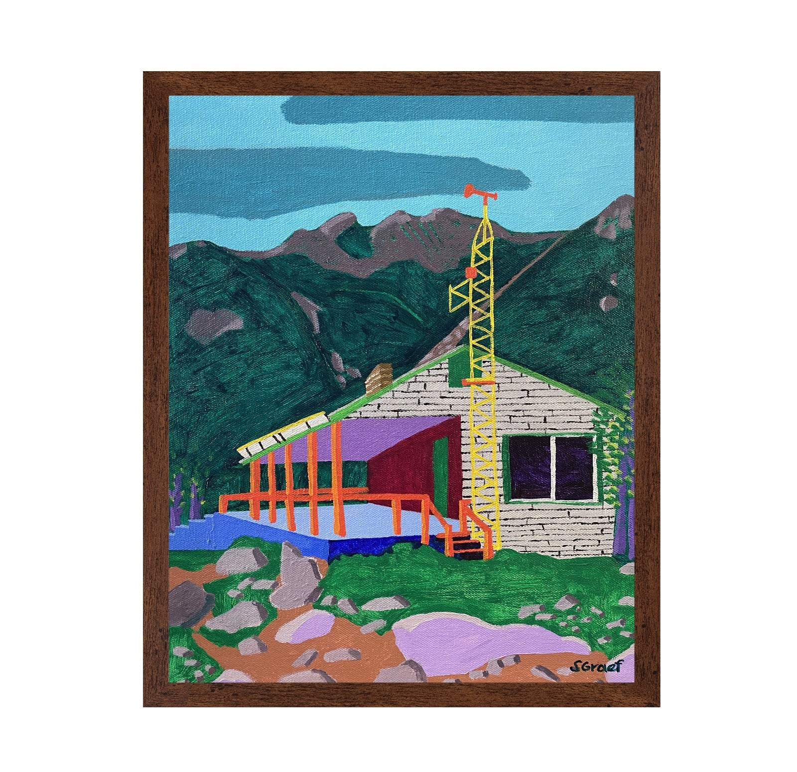 Mountain Cabin Build