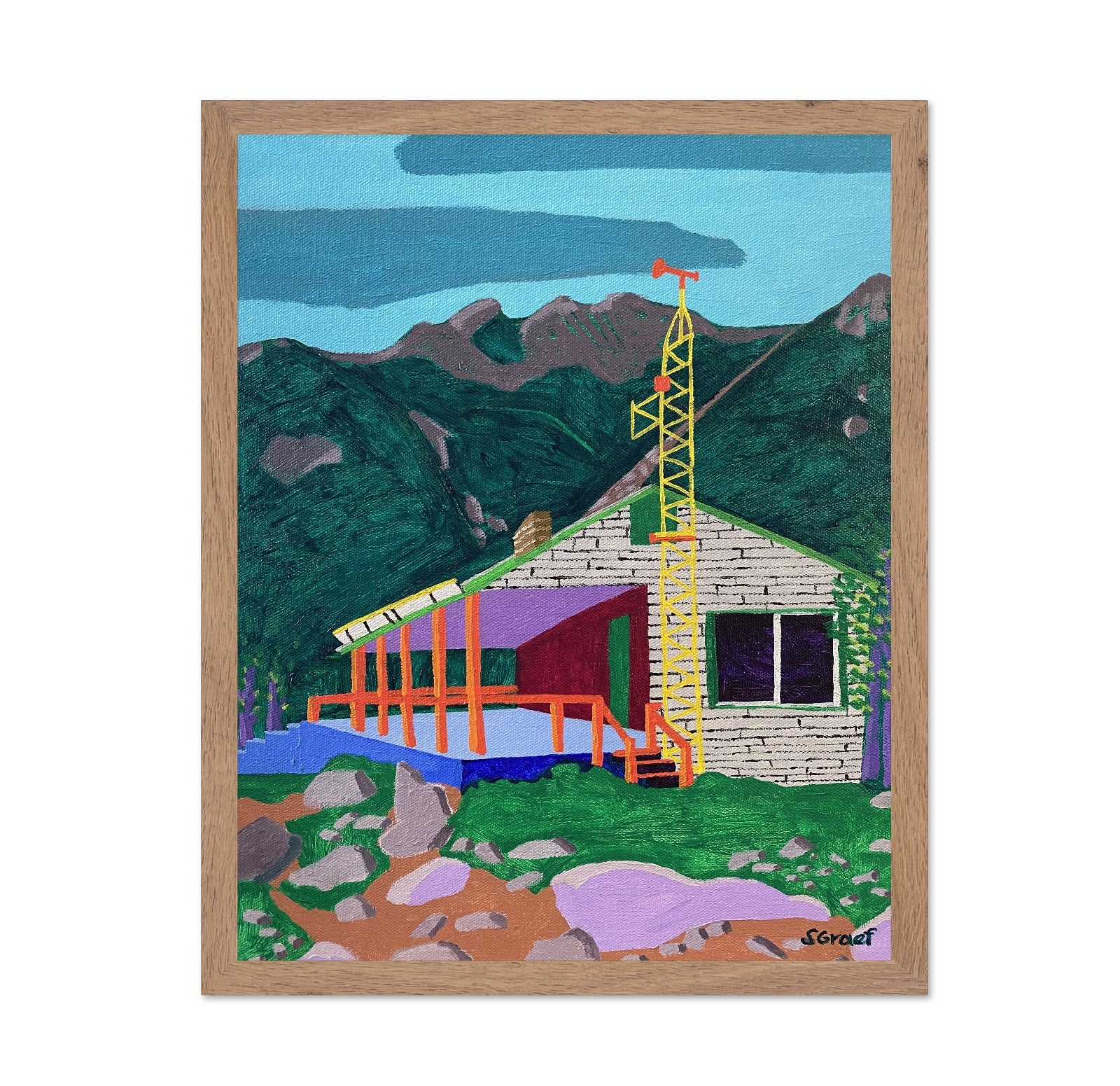 Mountain Cabin Build