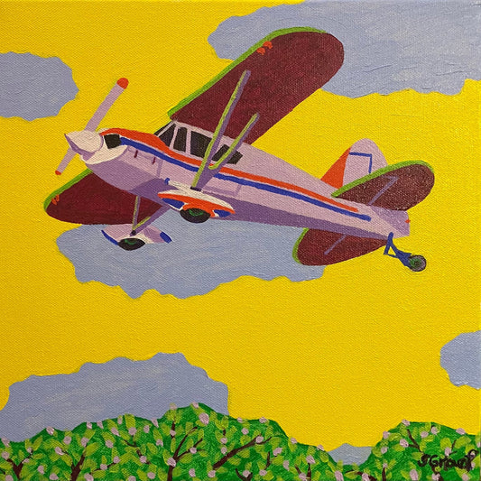 Vintage Biplane Flight