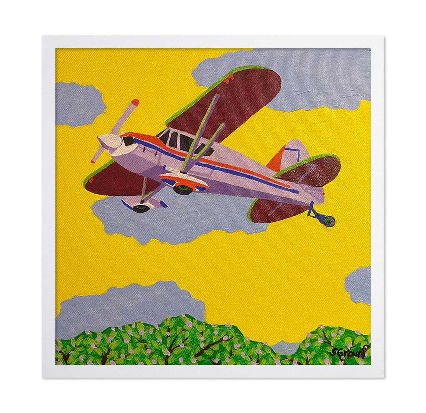 Vintage Biplane Flight