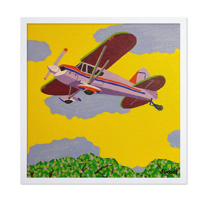 Vintage Biplane Flight