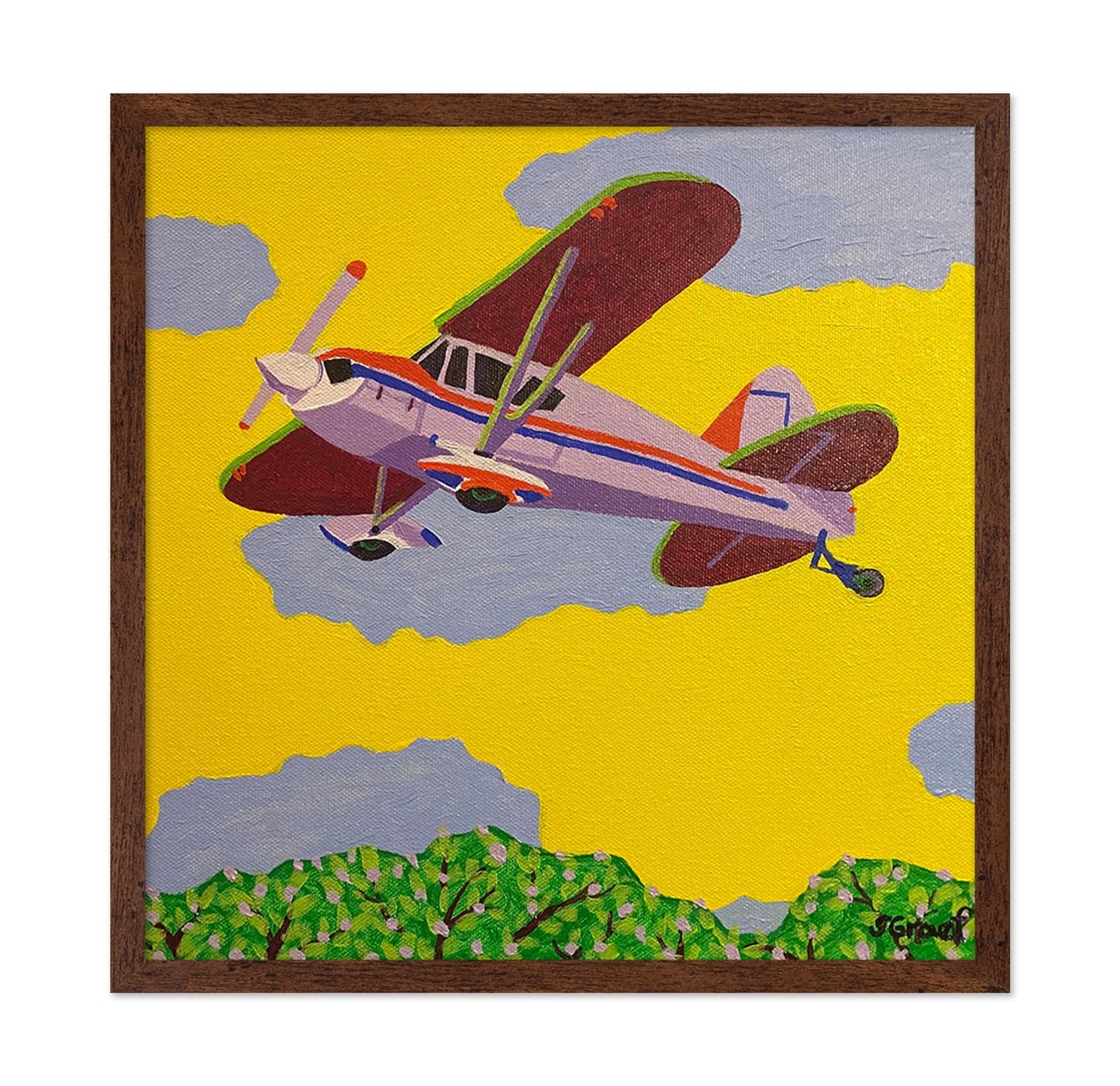 Vintage Biplane Flight