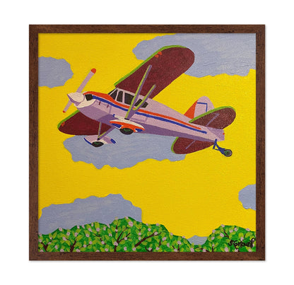 Vintage Biplane Flight