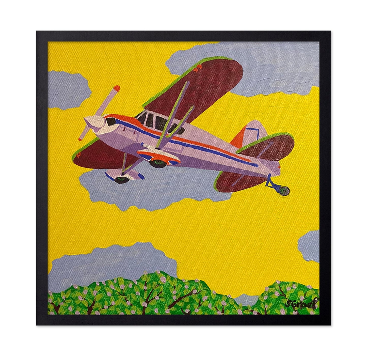 Vintage Biplane Flight