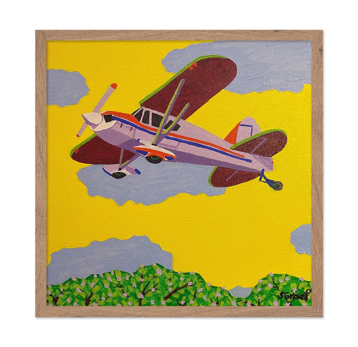 Vintage Biplane Flight