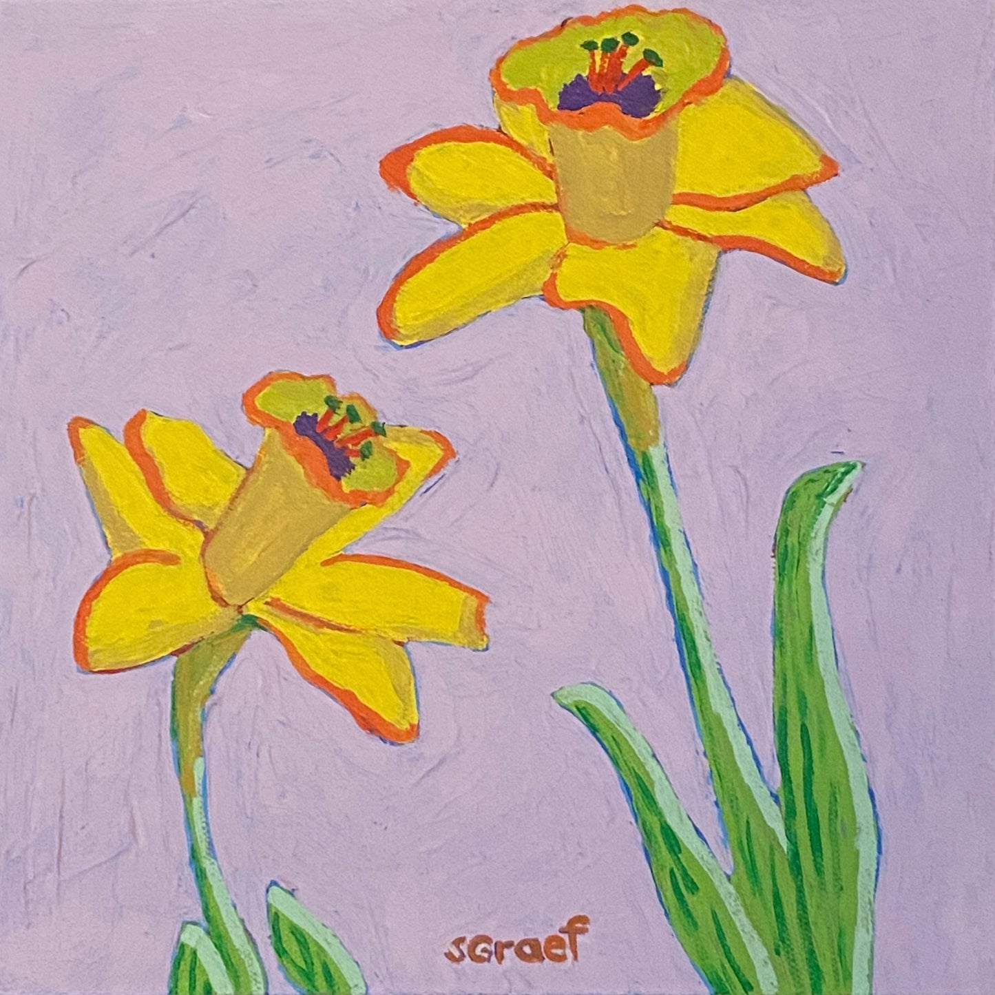 Yellow Daffodil Duo