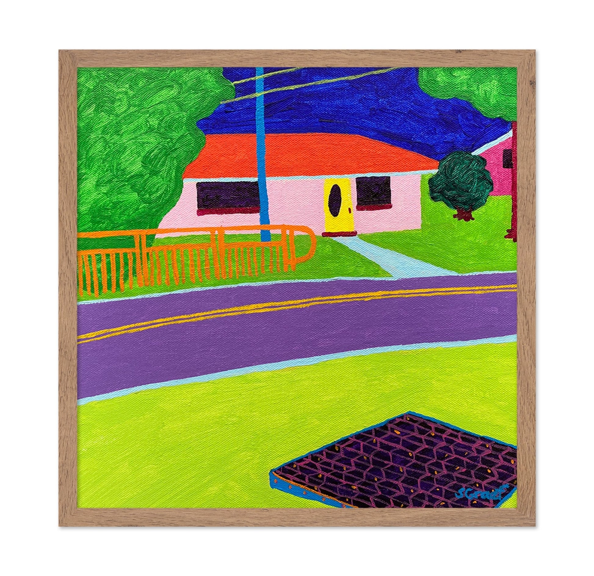 Colorful Suburban House View