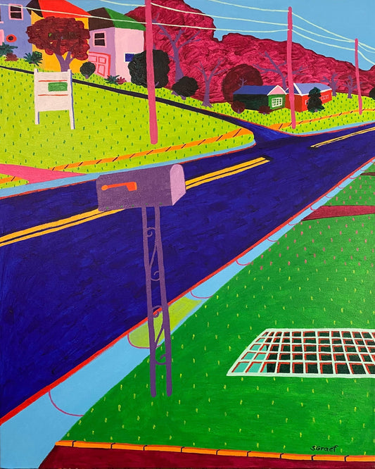 Colorful Suburban Road