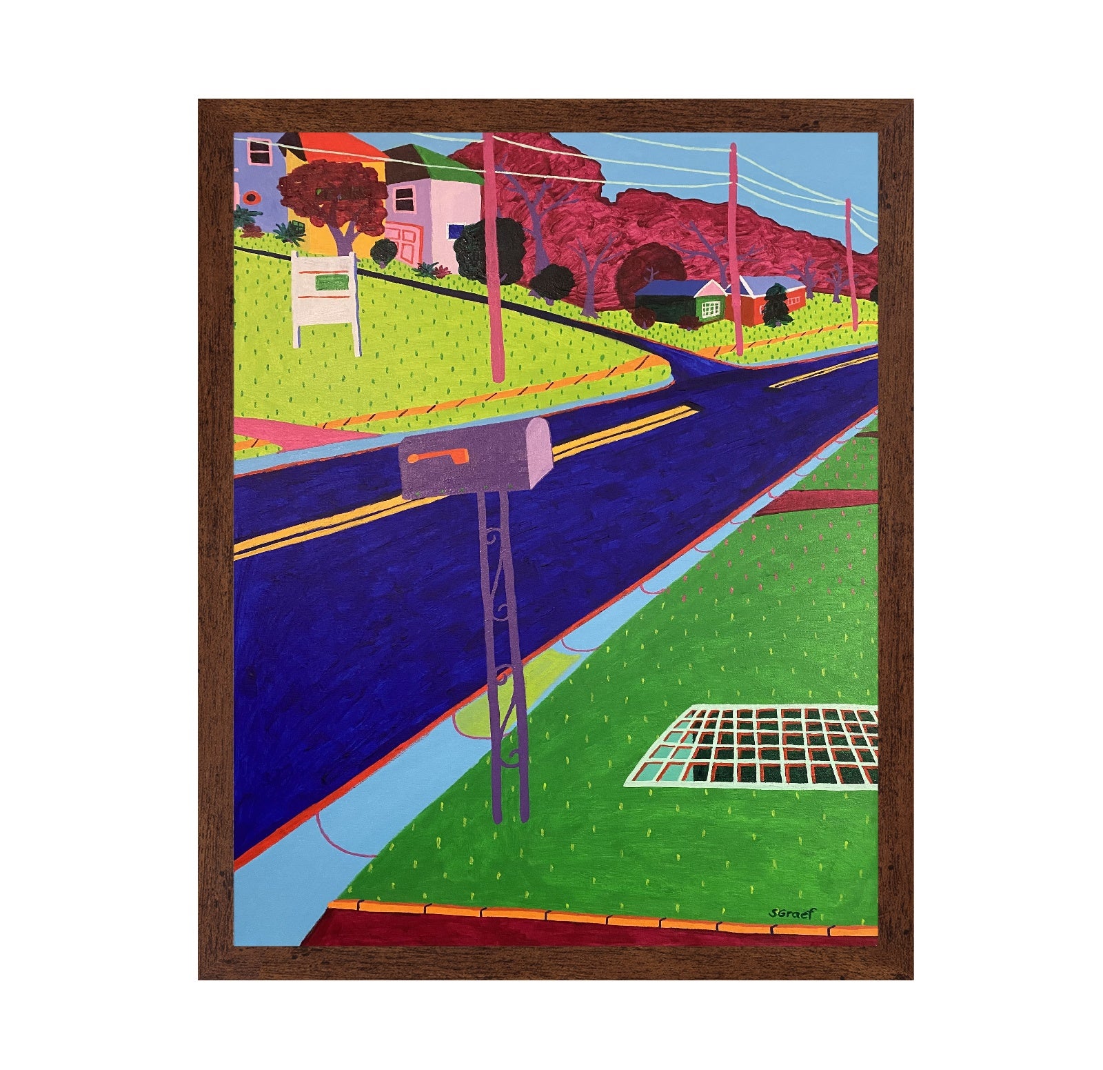 Colorful Suburban Road