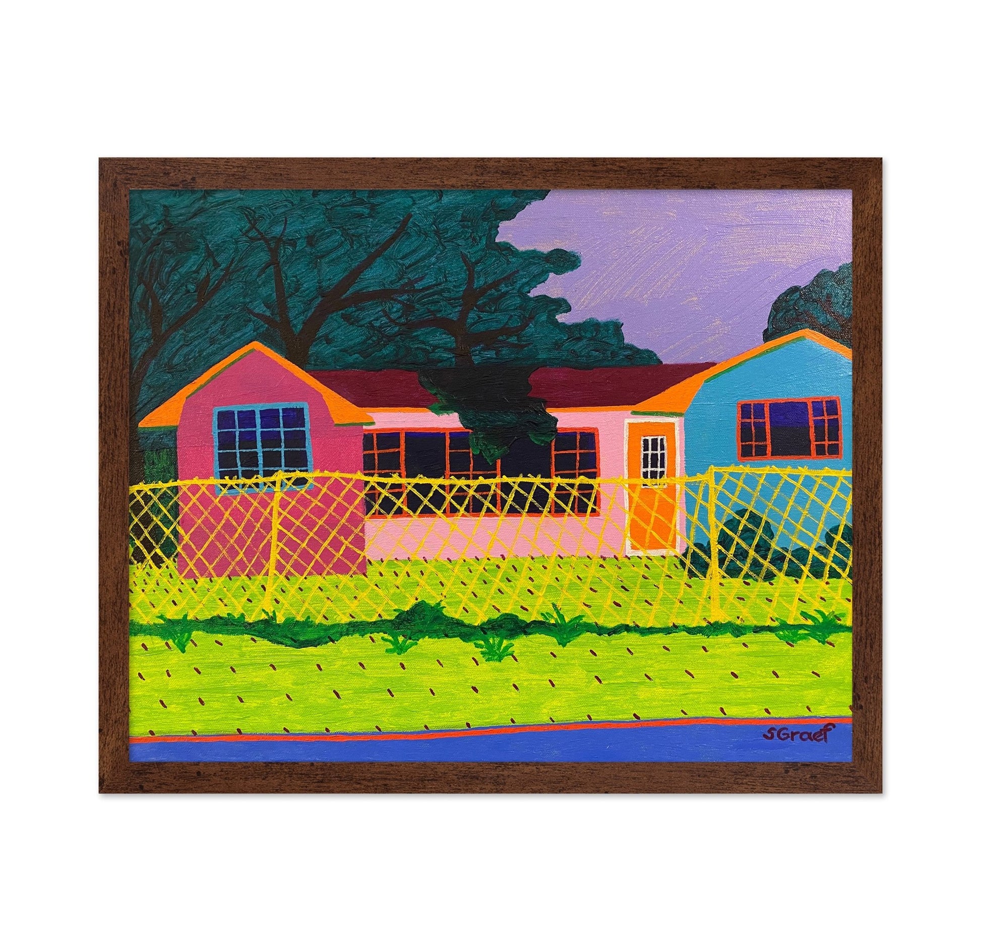 Colorful Fence House