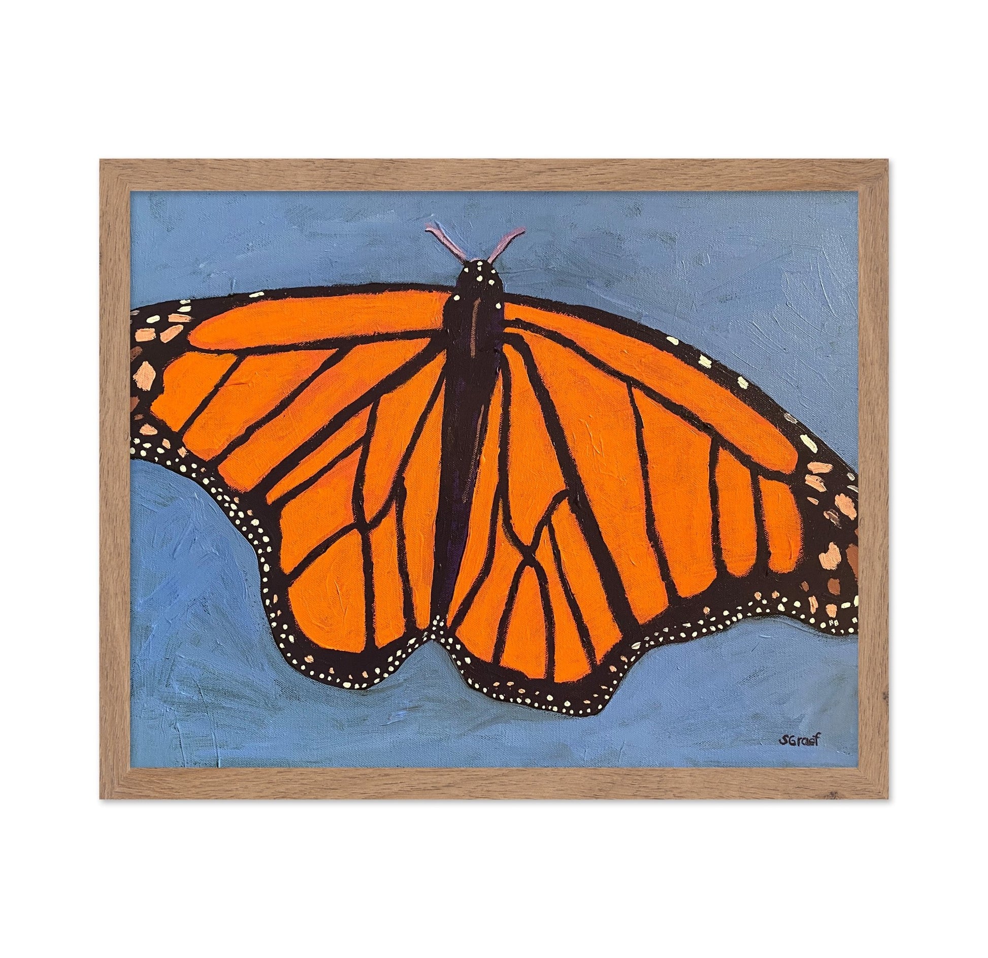 Orange Monarch Butterfly