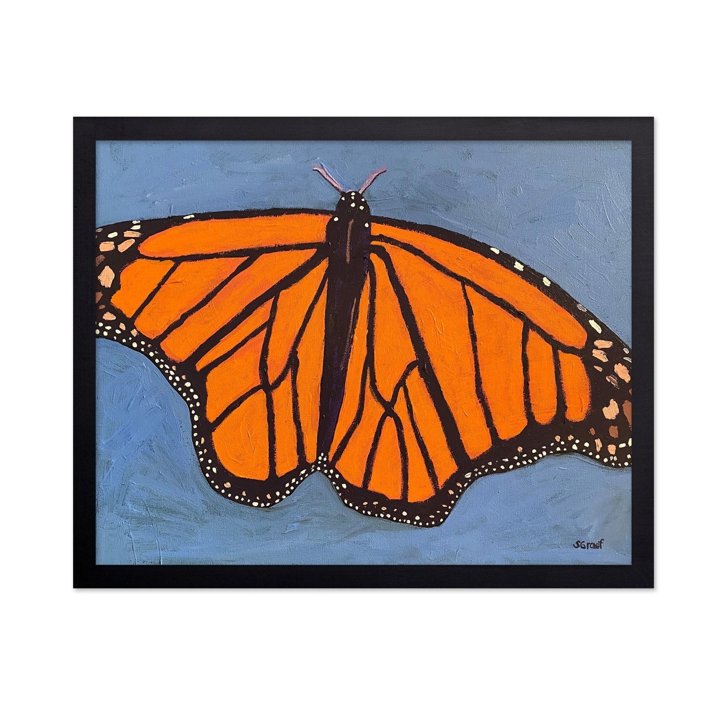 Orange Monarch Butterfly