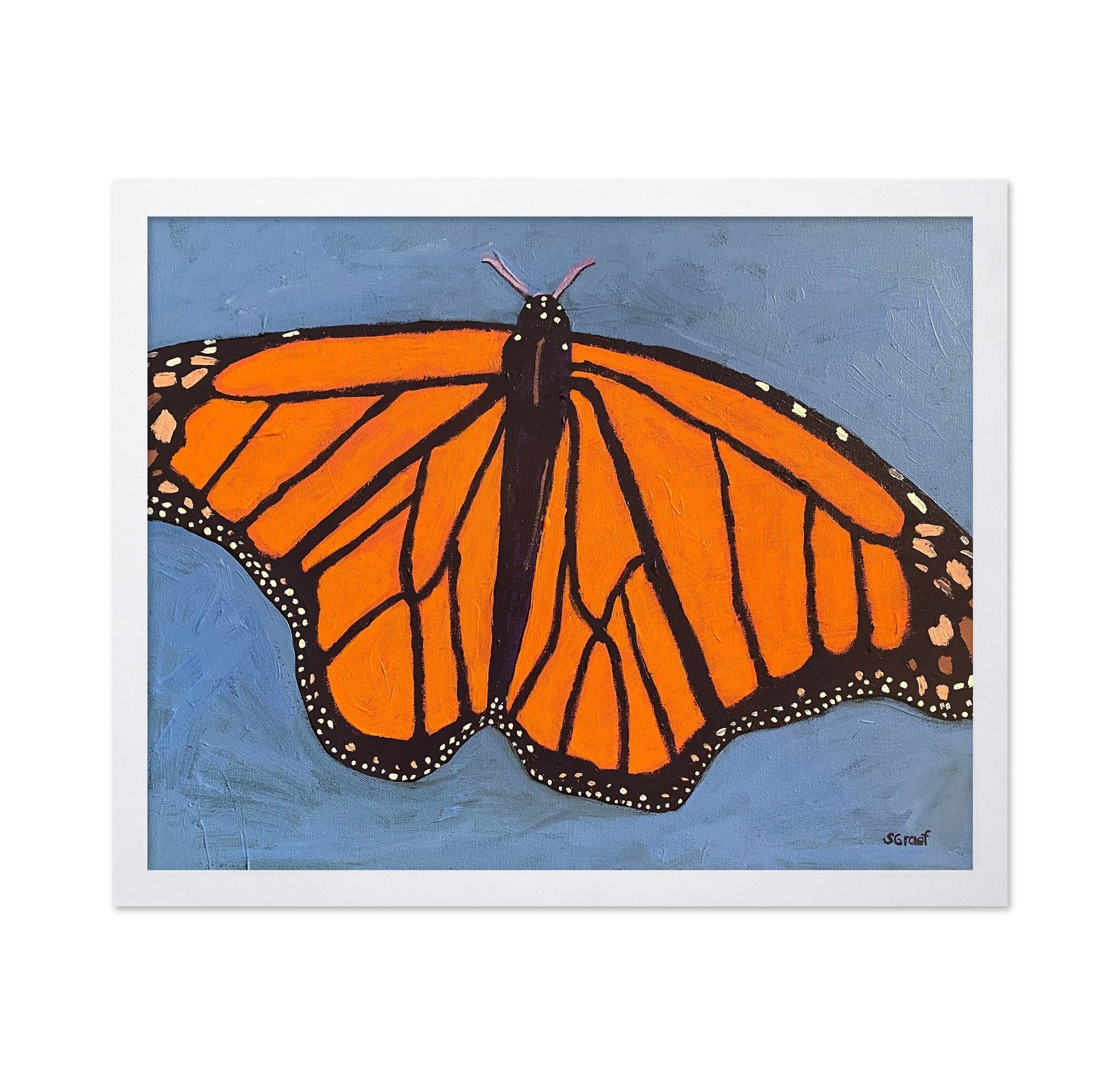 Orange Monarch Butterfly
