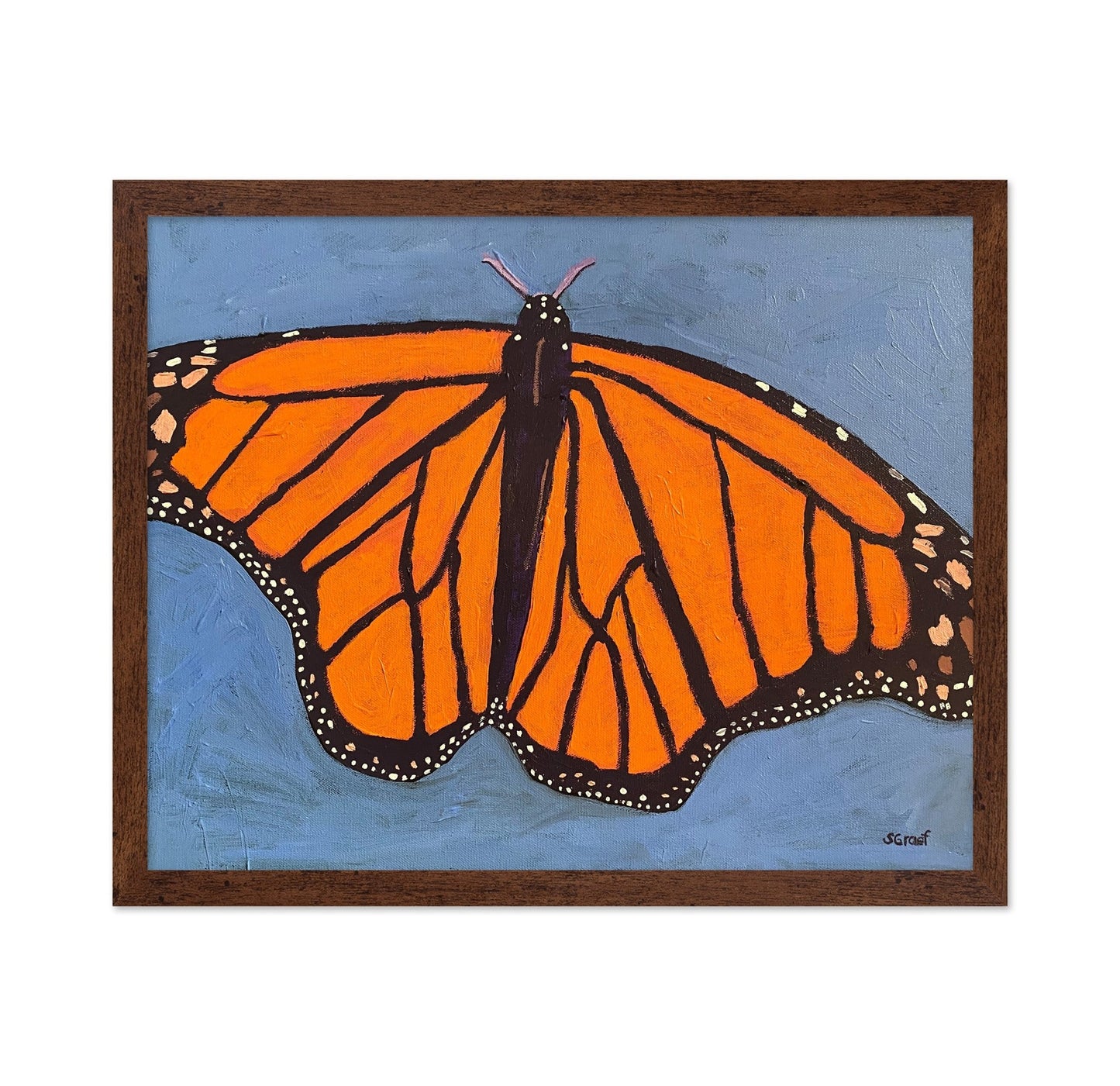 Orange Monarch Butterfly