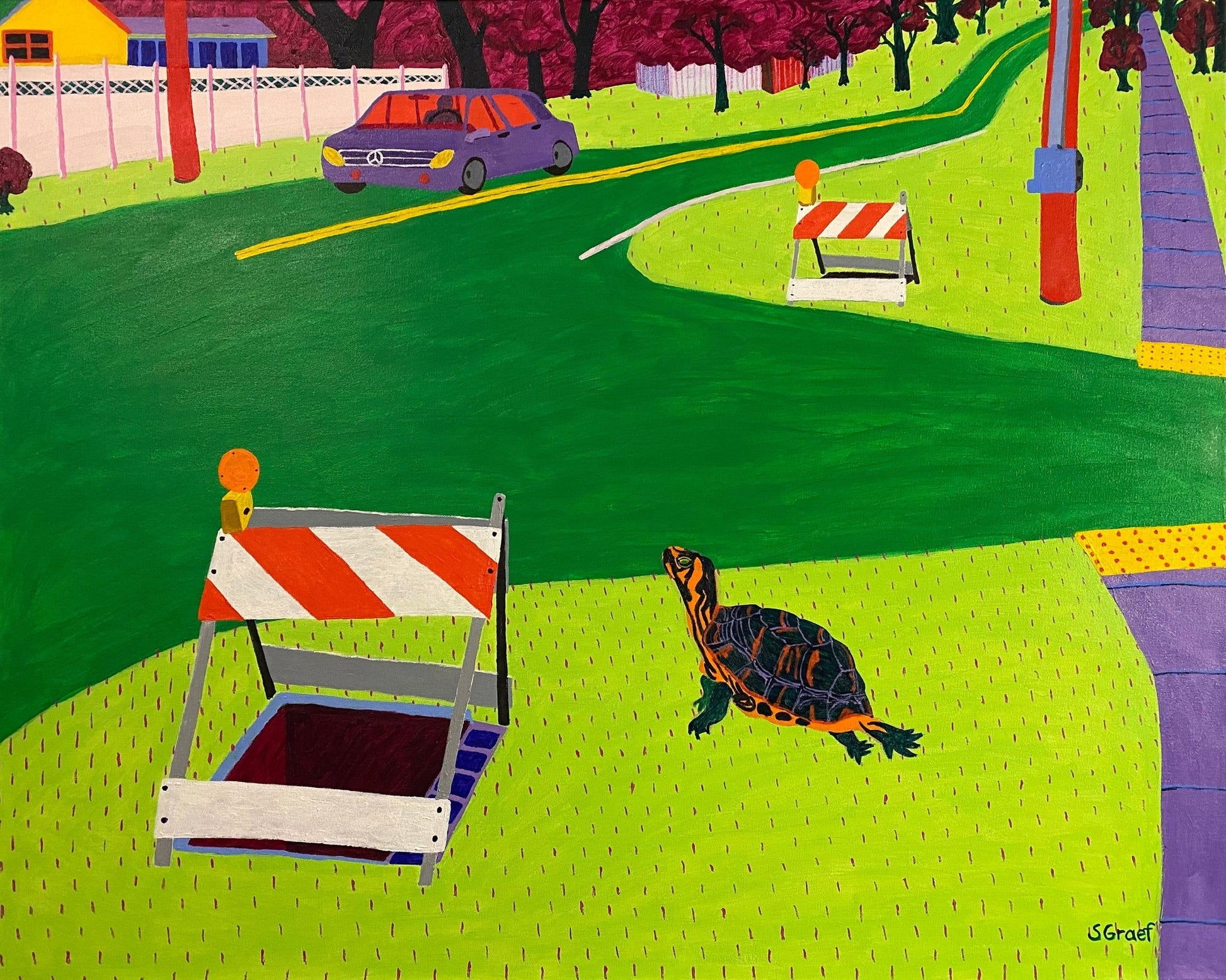 Turtle Road Crossing