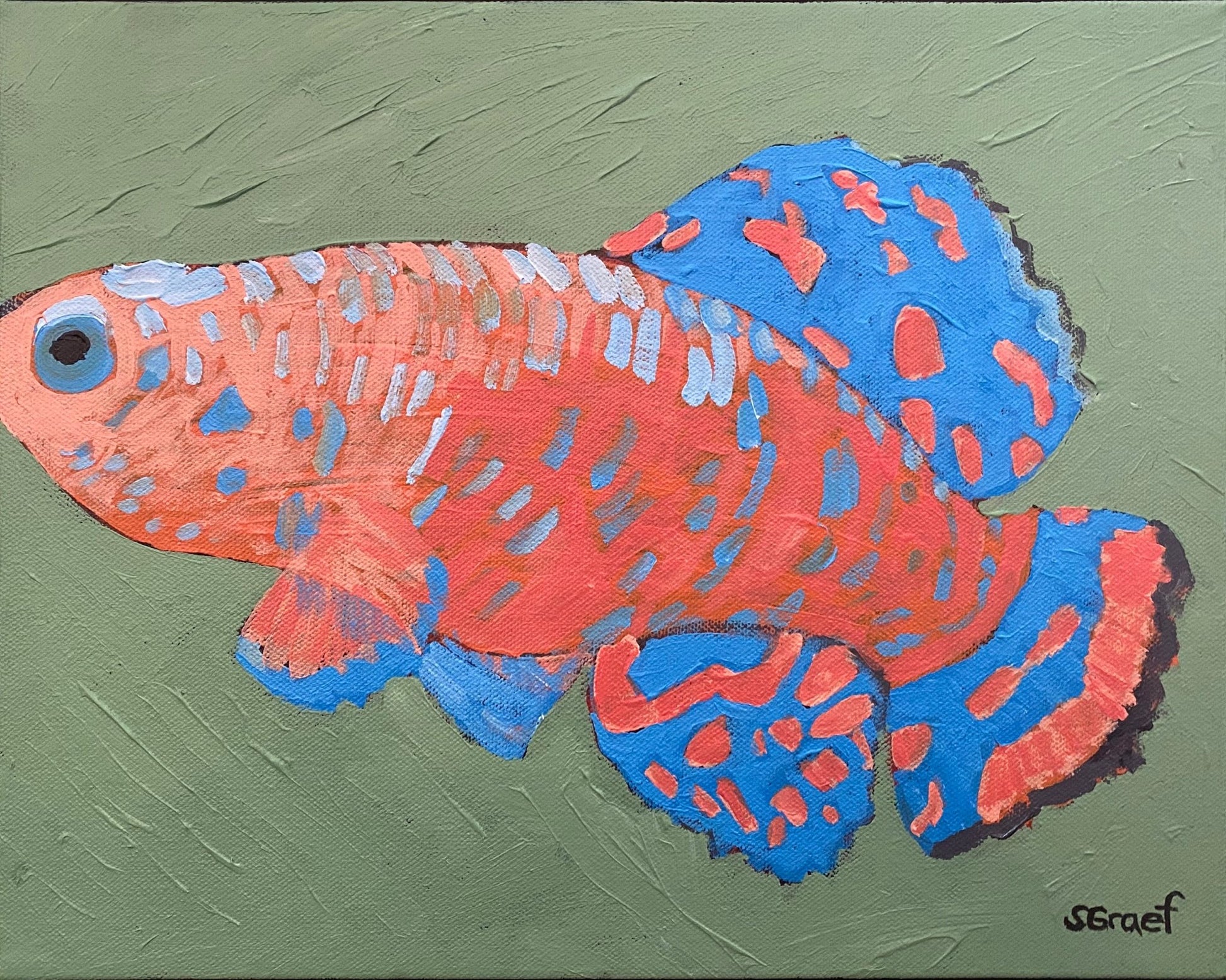 Colorful Tropical Fish