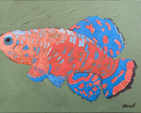 Colorful Tropical Fish