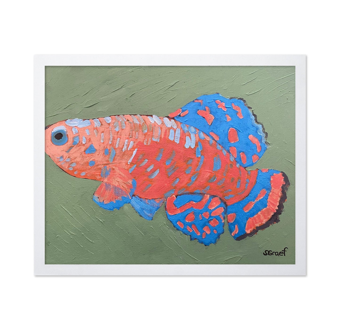 Colorful Tropical Fish