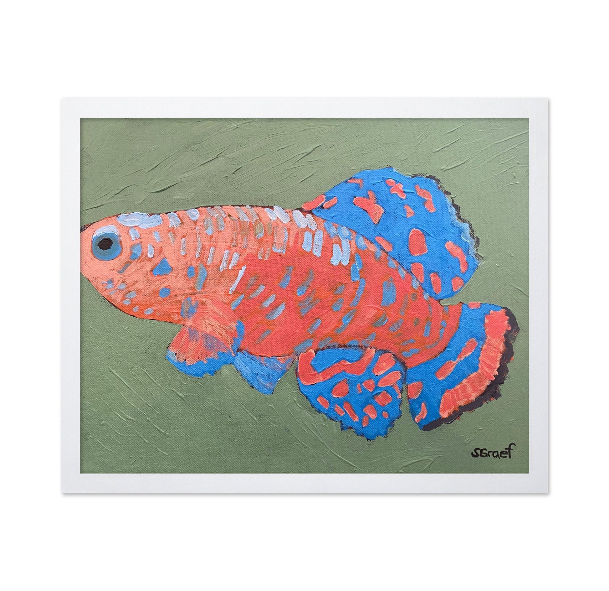 Colorful Tropical Fish