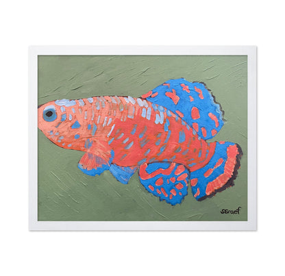 Colorful Tropical Fish