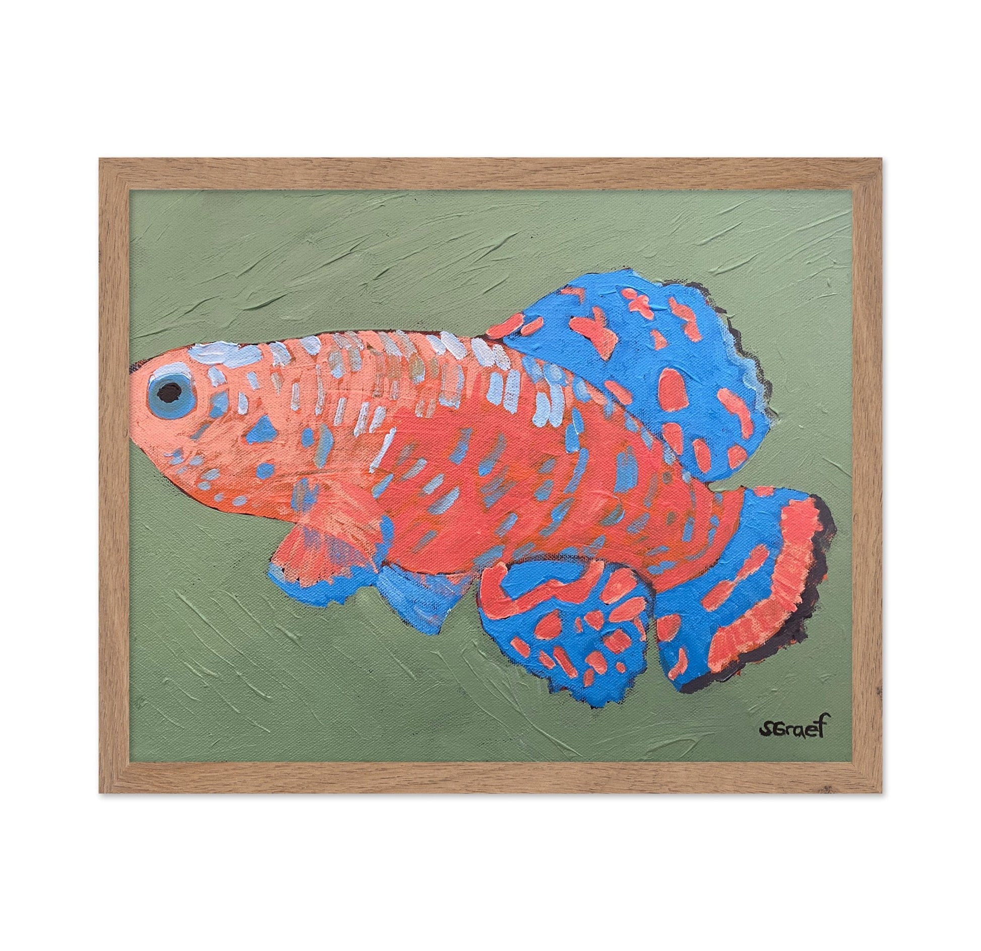 Colorful Tropical Fish
