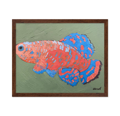 Colorful Tropical Fish