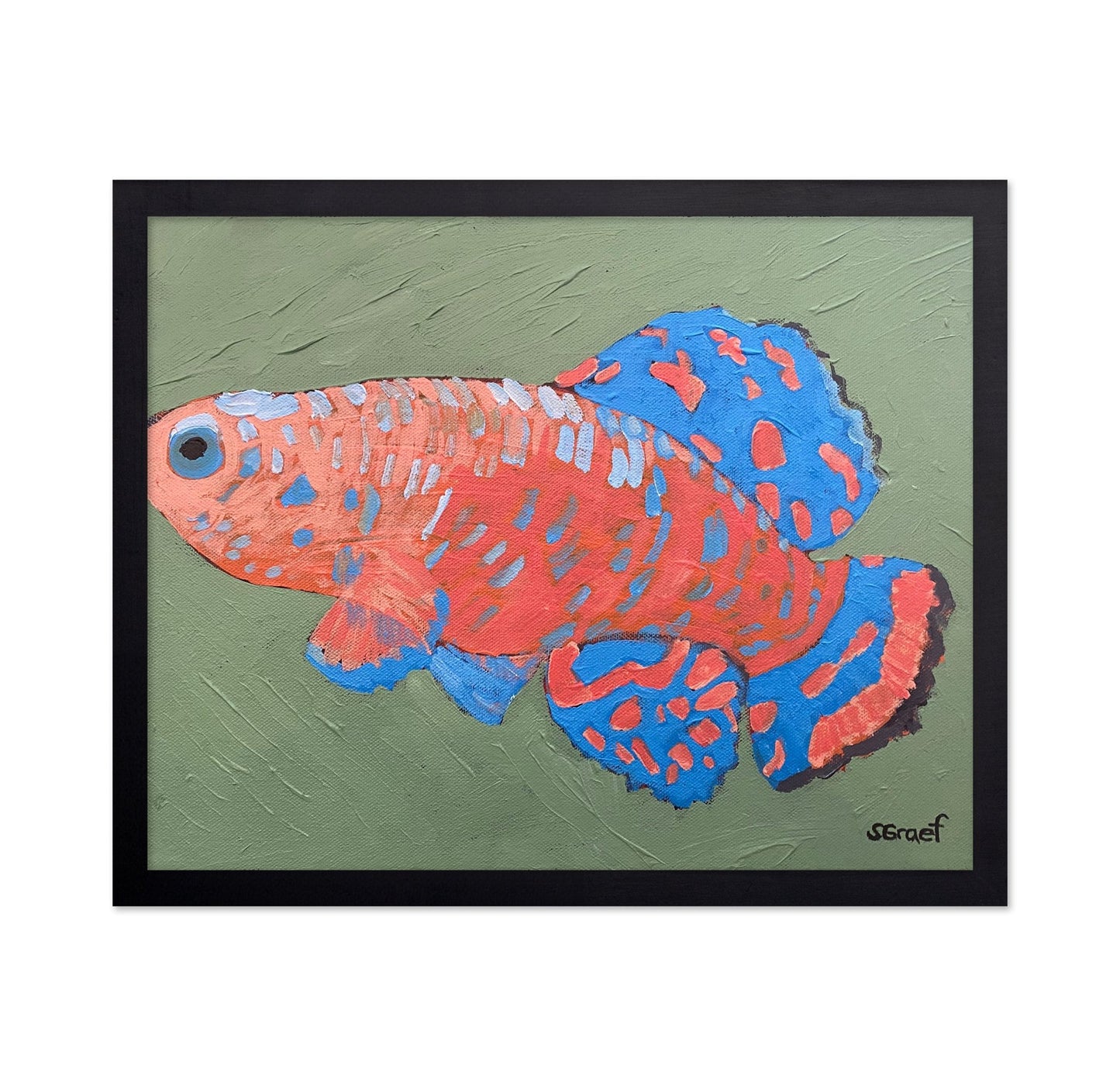 Colorful Tropical Fish