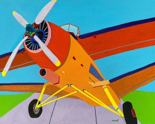 Colorful Propeller Plane