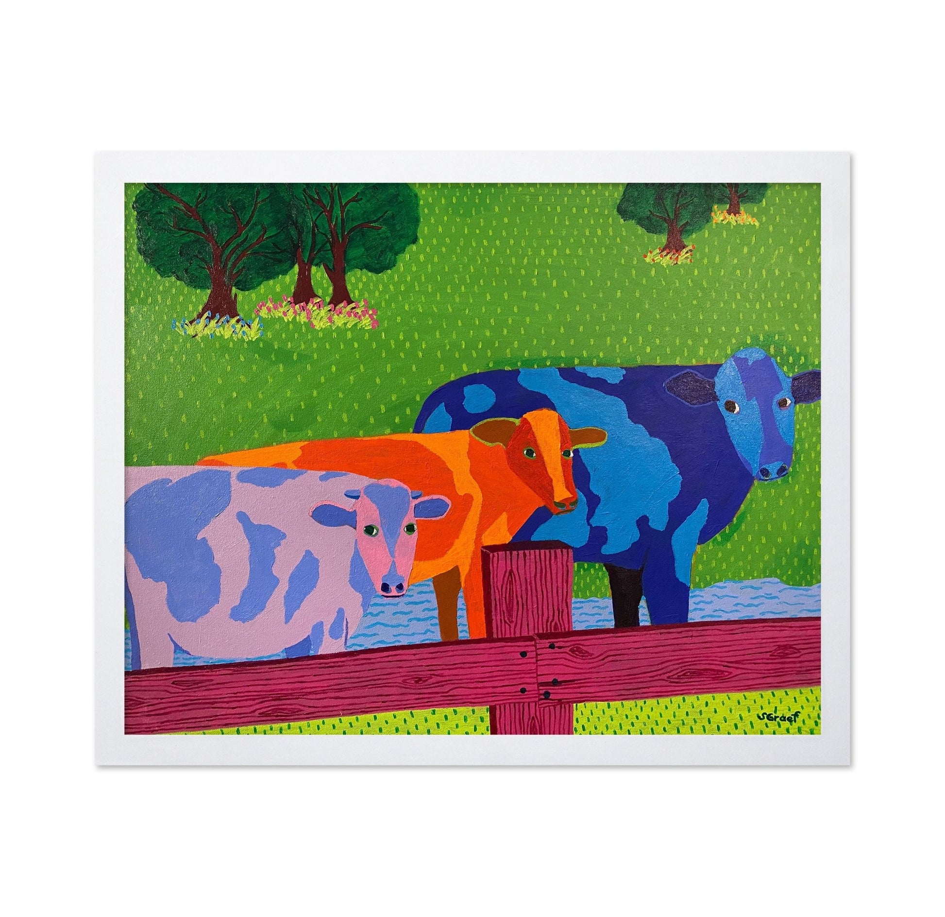 Colorful Farm Cows