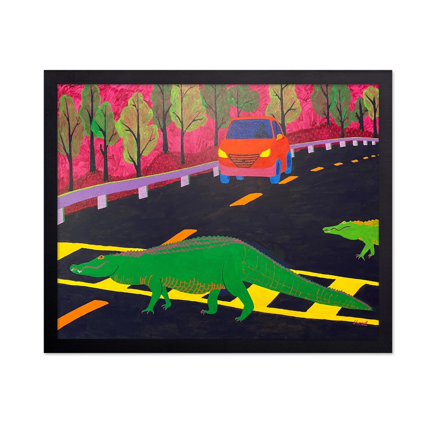 Alligator Road Crossing