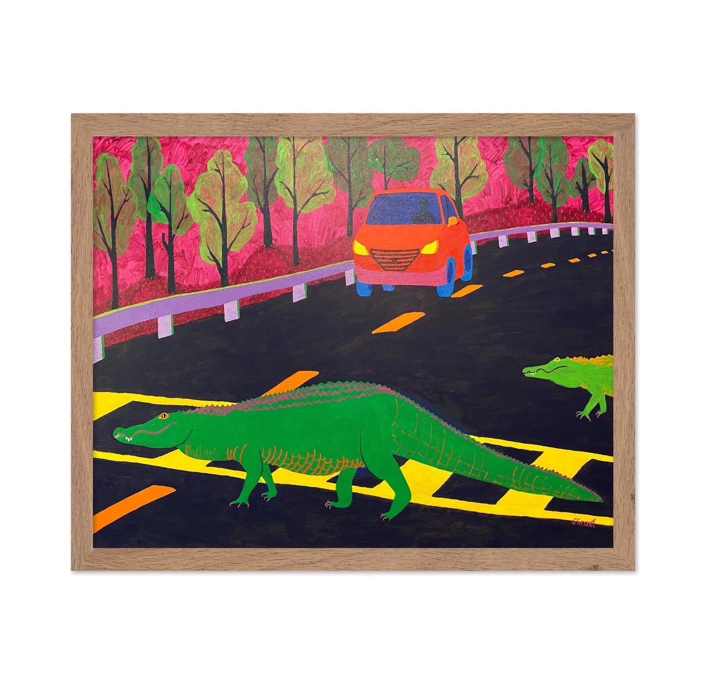 Alligator Road Crossing