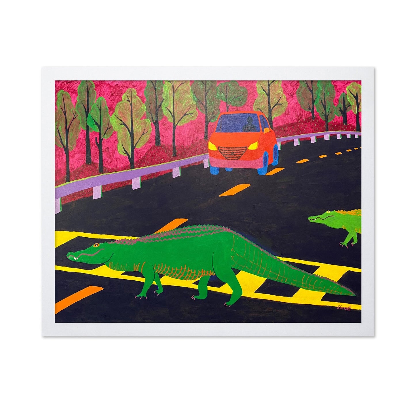 Alligator Road Crossing