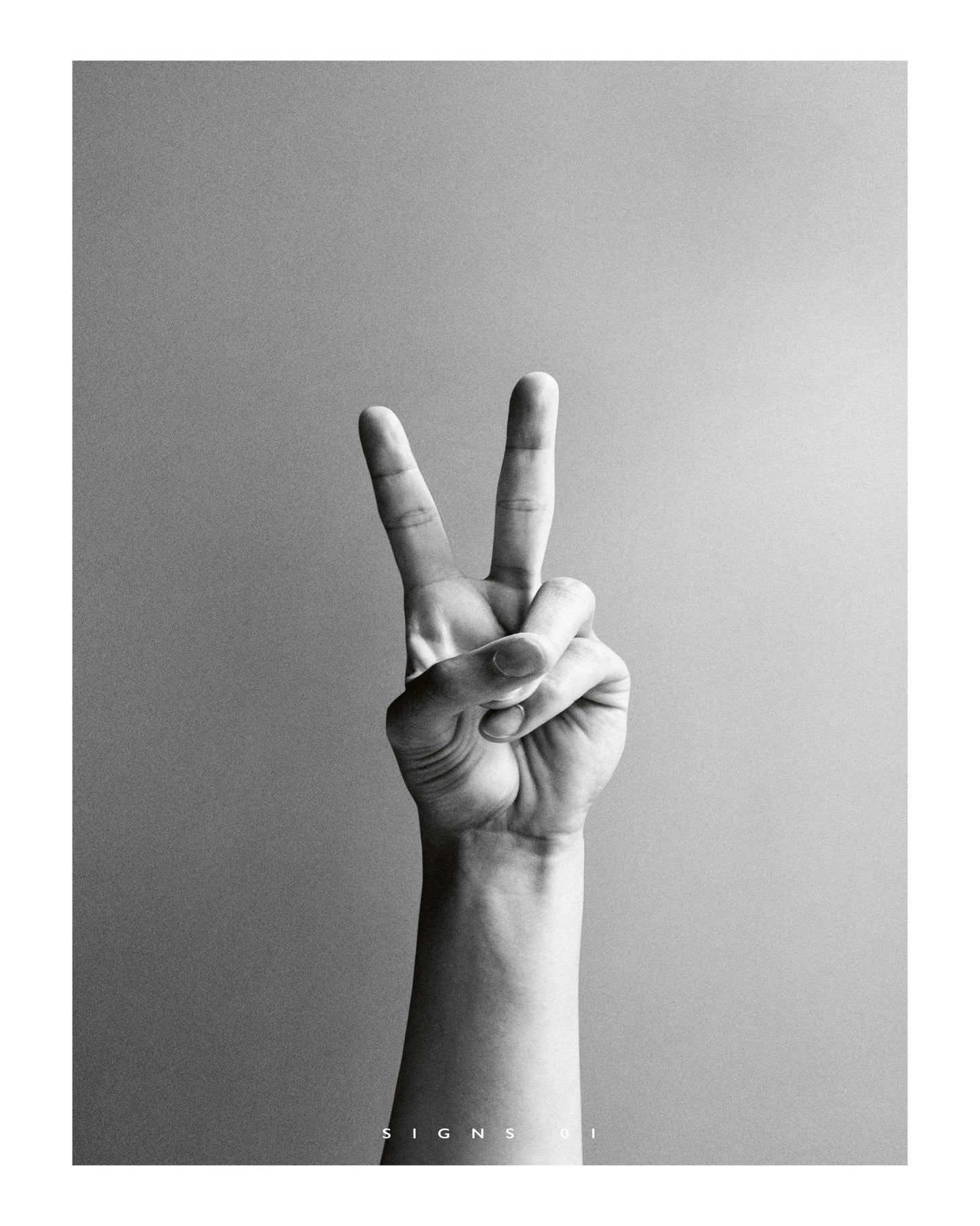 Peace Hand Sign