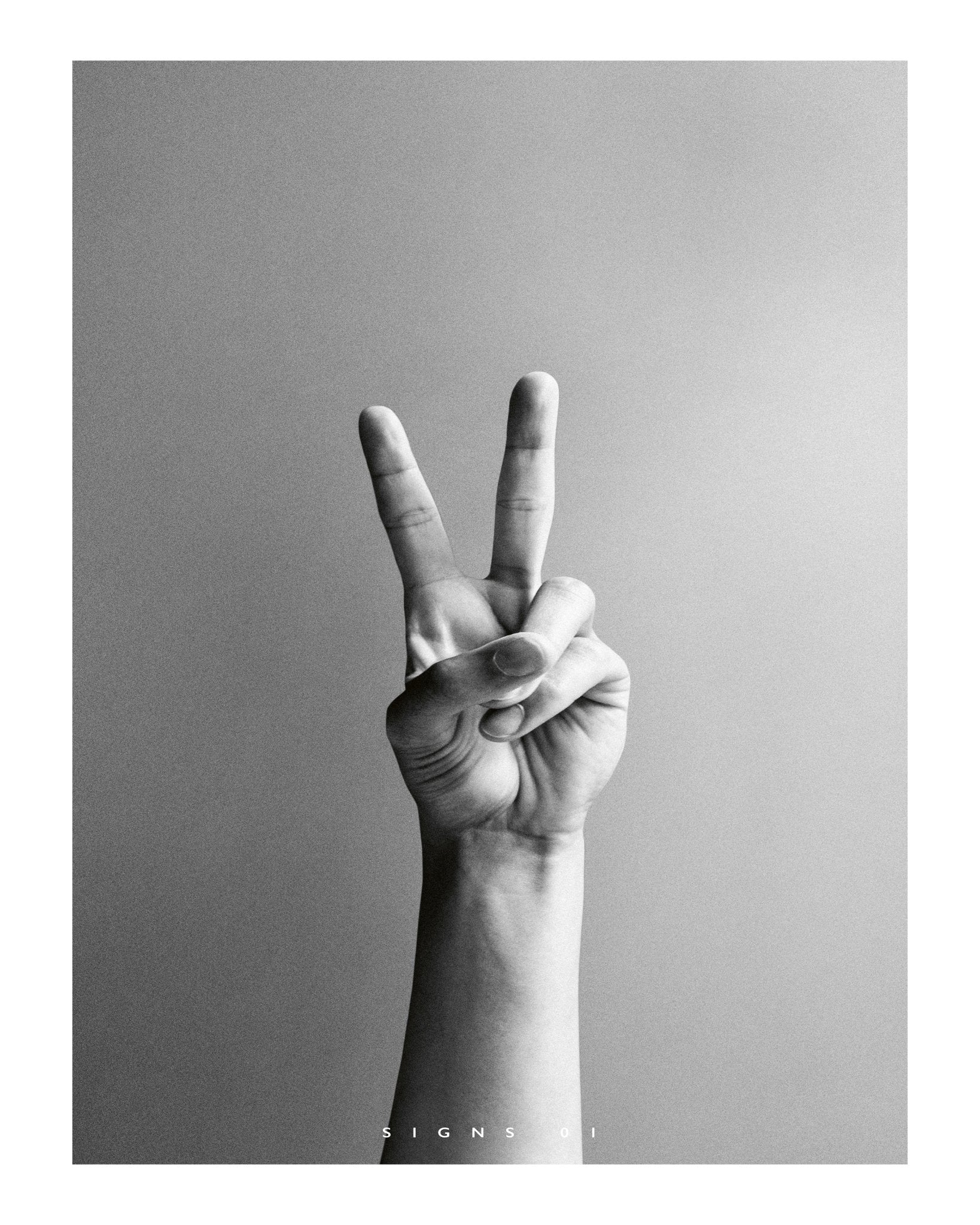 Peace Hand Sign