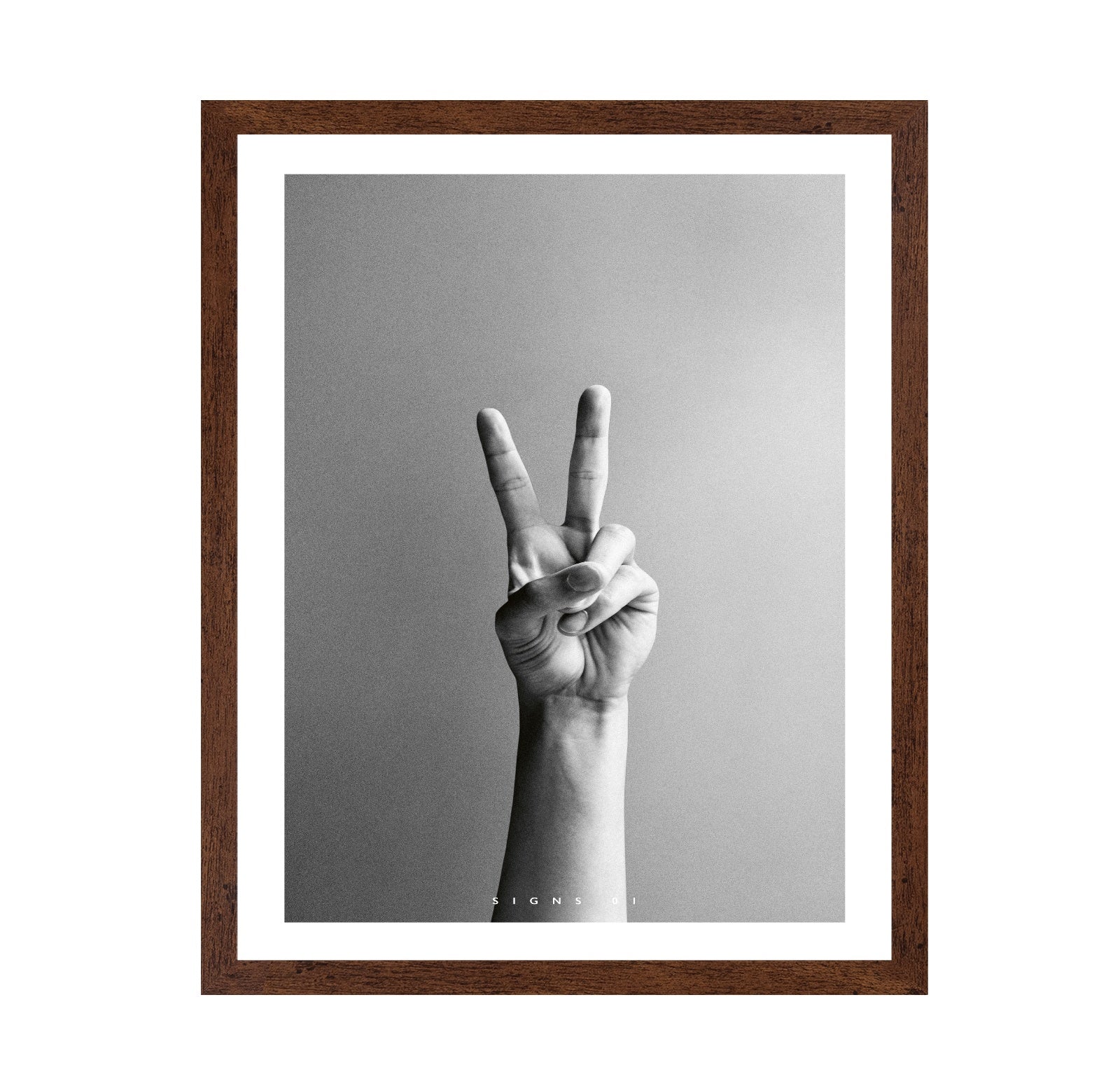 Peace Hand Sign